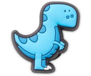 Boys Rule Blue Dino