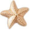 Gold Star Fish